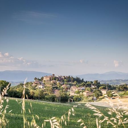 Bed and Breakfast Domus in Castro Montecchio  Esterno foto
