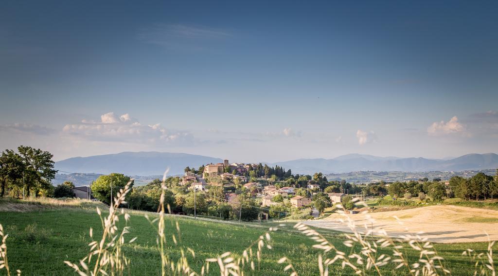 Bed and Breakfast Domus in Castro Montecchio  Esterno foto
